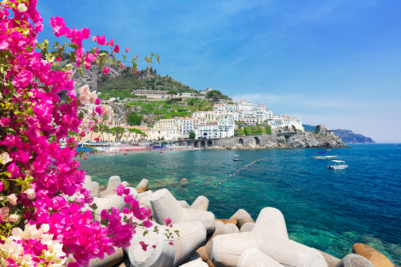 Coastal view of an Italian town with some pink flowers.