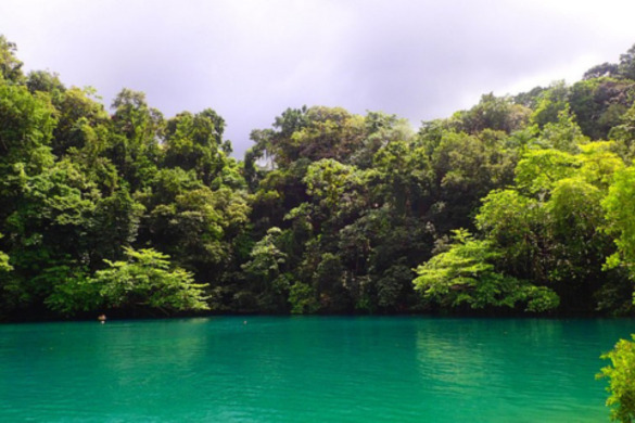 The Color-changing Blue Lagoon in Portland Parish