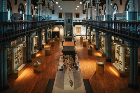 The natural history museum, complete with dinosaur fossils.